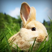 /album/ecoequipo-8/photolia-a03-jpg/